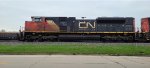 CN 8875